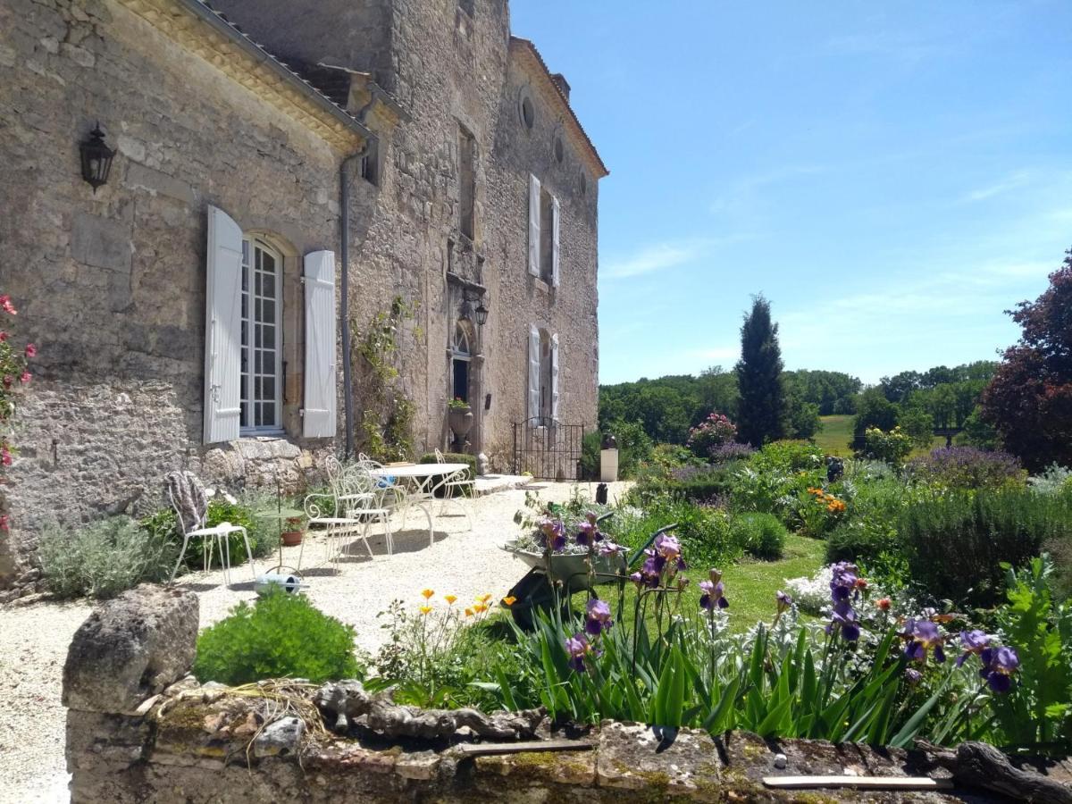 Chateau Barayre - Beautiful 12Th Century Castle With Pool And Large Garden Laussou Екстериор снимка